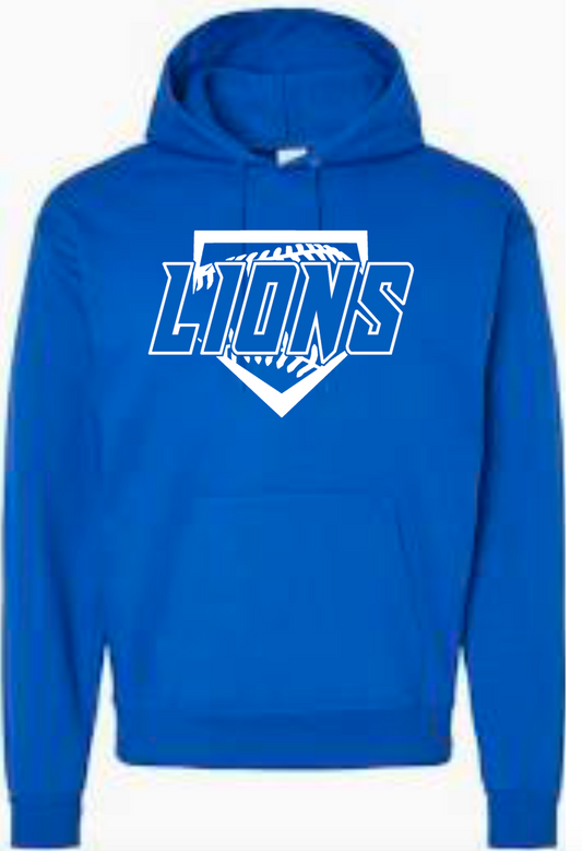 Lions Baseball 2