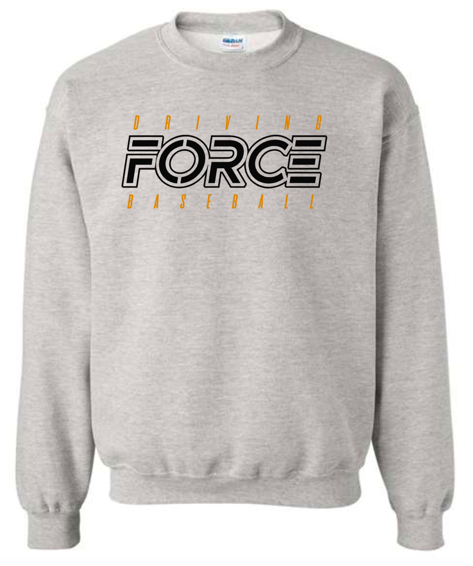 Driving Force 1