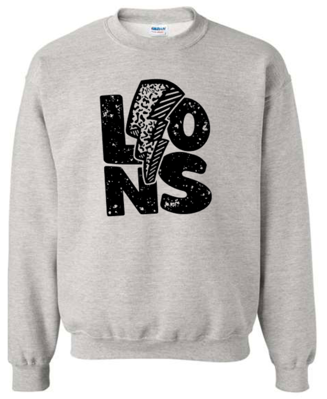 Lions Baseball 3