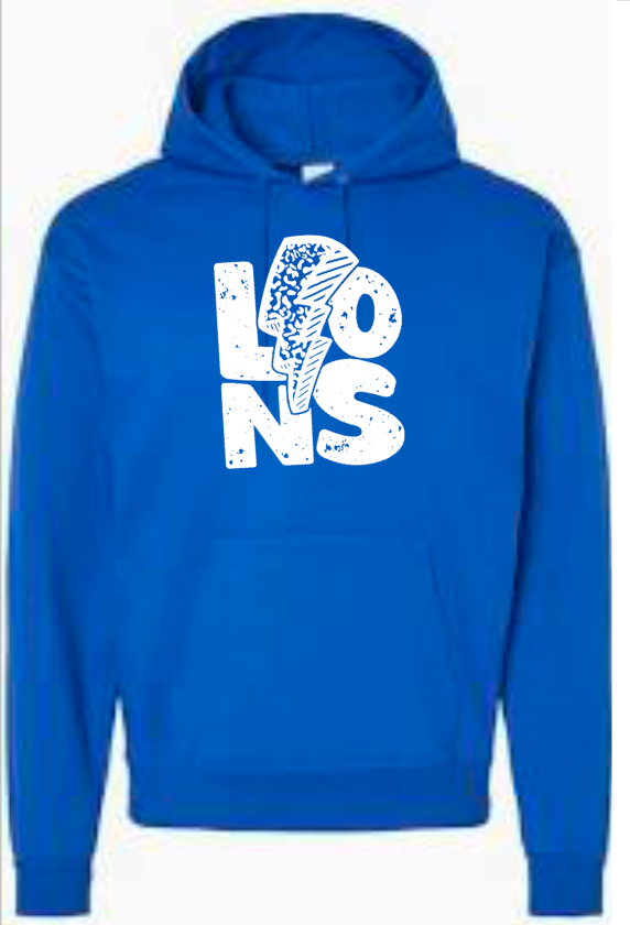 Lions Baseball 3