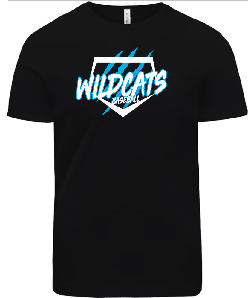 Wildcats Baseball 1