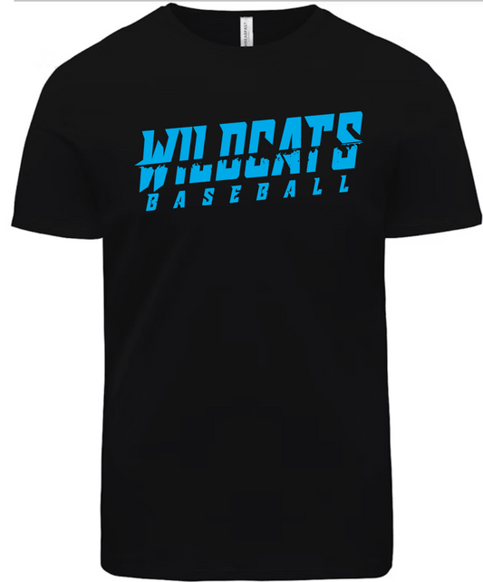 Wildcats Baseball 2